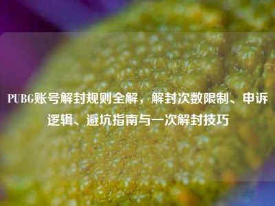 PUBG账号解封规则全解，解封次数限制、申诉逻辑、避坑指南与一次解封技巧