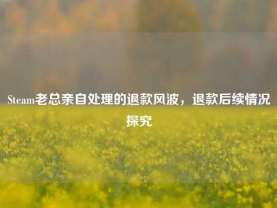 Steam老总亲自处理的退款风波，退款后续情况探究