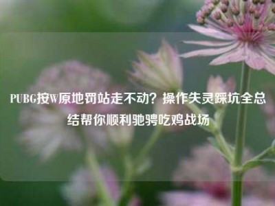 PUBG按W原地罚站走不动？操作失灵踩坑全总结帮你顺利驰骋吃鸡战场