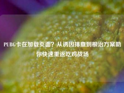 PUBG卡在加载页面？从诱因排查到根治方案助你快速重返吃鸡战场