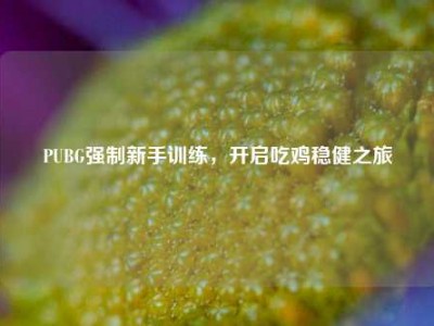 PUBG强制新手训练，开启吃鸡稳健之旅