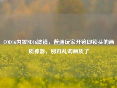 COD16内置ND16滤镜，普通玩家开镜即锁头的画质神器，别再乱调画质了