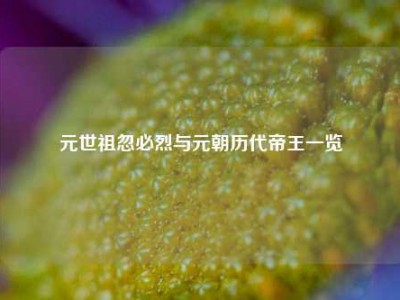 元世祖忽必烈与元朝历代帝王一览