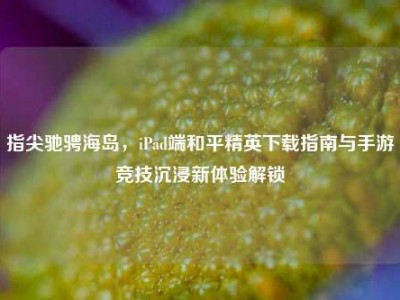 指尖驰骋海岛，iPad端和平精英下载指南与手游竞技沉浸新体验解锁