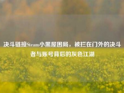 决斗链接Steam小黑屋困局，被拦在门外的决斗者与账号背后的灰色江湖