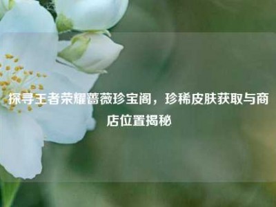 探寻王者荣耀蔷薇珍宝阁，珍稀皮肤获取与商店位置揭秘