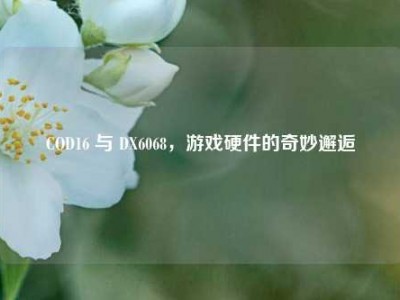 COD16 与 DX6068，游戏硬件的奇妙邂逅