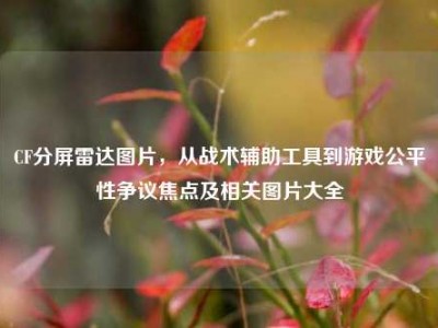 CF分屏雷达图片，从战术辅助工具到游戏公平性争议焦点及相关图片大全