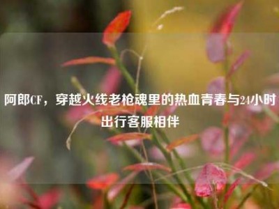 阿郎CF，穿越火线老枪魂里的热血青春与24小时出行客服相伴
