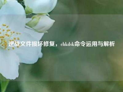 逆战文件损坏修复，chkdsk命令运用与解析
