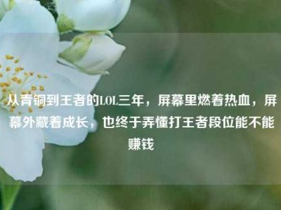 从青铜到王者的LOL三年，屏幕里燃着热血，屏幕外藏着成长，也终于弄懂打王者段位能不能赚钱