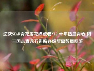 逆战SCAR青龙游龙纹藏老NZer十年热血青春 附三国志青龙石进阶各级所需数量图鉴