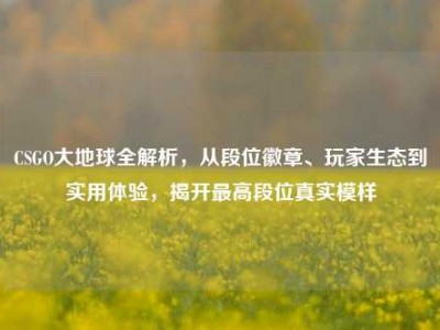 CSGO大地球全解析，从段位徽章、玩家生态到实用体验，揭开最高段位真实模样