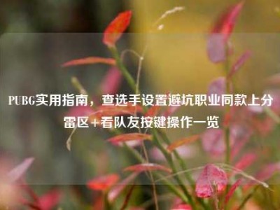 PUBG实用指南，查选手设置避坑职业同款上分雷区+看队友按键操作一览