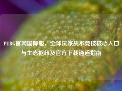 PUBG官网国际服，全球玩家战术竞技核心入口与生态枢纽及官方下载通道指南
