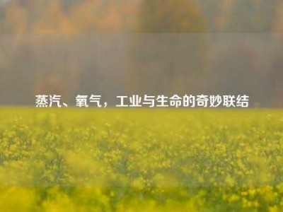 蒸汽、氧气，工业与生命的奇妙联结