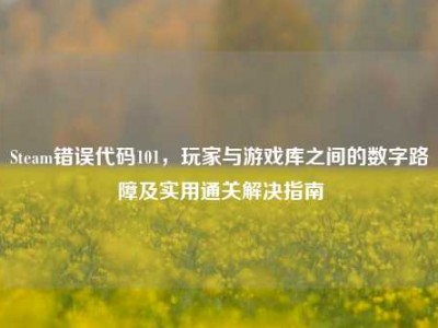 Steam错误代码101，玩家与游戏库之间的数字路障及实用通关解决指南