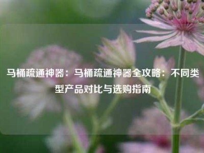 马桶疏通神器：马桶疏通神器全攻略：不同类型产品对比与选购指南