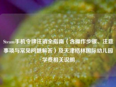 Steam手机令牌注销全指南（含操作步骤、注意事项与常见问题解答）及天津格林国际幼儿园学费相关说明