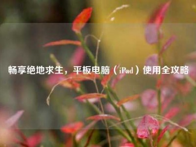 畅享绝地求生，平板电脑（iPad）使用全攻略