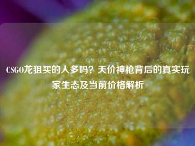 CSGO龙狙买的人多吗？天价神枪背后的真实玩家生态及当前价格解析