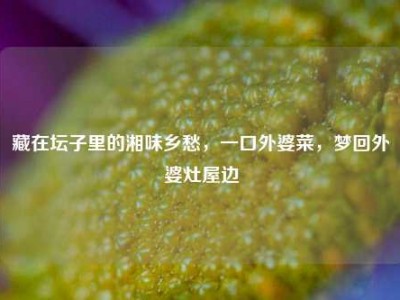 藏在坛子里的湘味乡愁，一口外婆菜，梦回外婆灶屋边