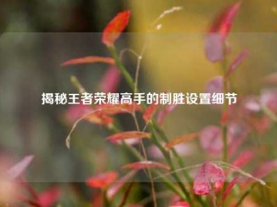 揭秘王者荣耀高手的制胜设置细节