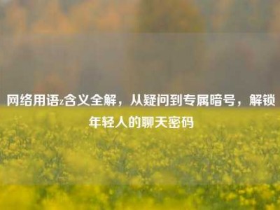 网络用语z含义全解，从疑问到专属暗号，解锁年轻人的聊天密码