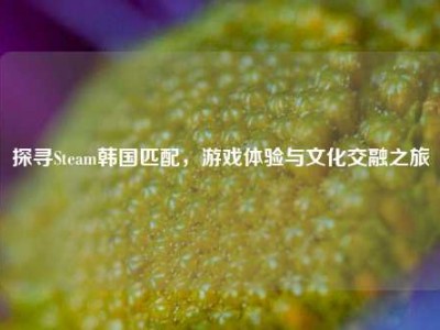 探寻Steam韩国匹配，游戏体验与文化交融之旅