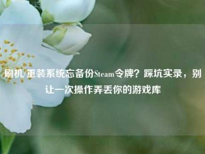 刷机/重装系统忘备份Steam令牌？踩坑实录，别让一次操作弄丢你的游戏库