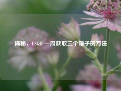 揭秘，CSGO 一周获取三个箱子的方法