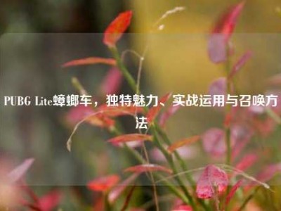 PUBG Lite蟑螂车，独特魅力、实战运用与召唤方法