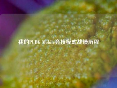 我的PUBG Mobile竞技模式战绩历程