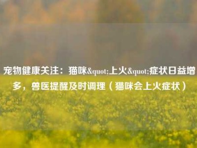 宠物健康关注：猫咪"上火"症状日益增多，兽医提醒及时调理（猫咪会上火症状）