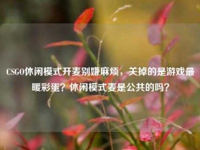CSGO休闲模式开麦别嫌麻烦，关掉的是游戏最暖彩蛋？休闲模式麦是公共的吗？