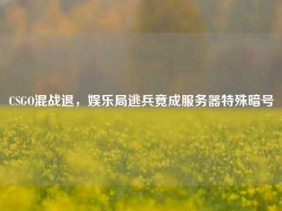 CSGO混战退，娱乐局逃兵竟成服务器特殊暗号