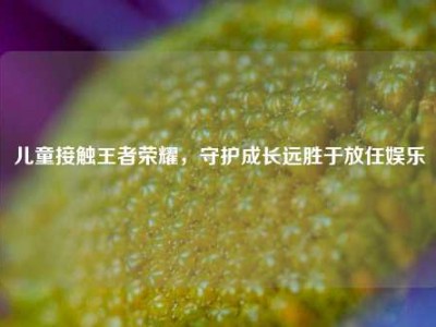 儿童接触王者荣耀，守护成长远胜于放任娱乐