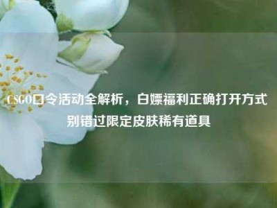 CSGO口令活动全解析，白嫖福利正确打开方式 别错过限定皮肤稀有道具