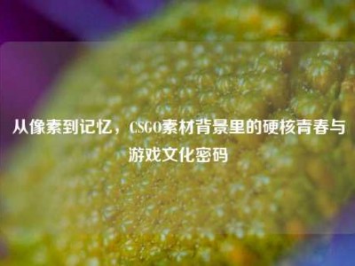 从像素到记忆，CSGO素材背景里的硬核青春与游戏文化密码