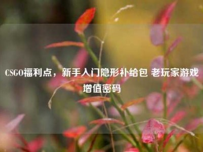 CSGO福利点，新手入门隐形补给包 老玩家游戏增值密码