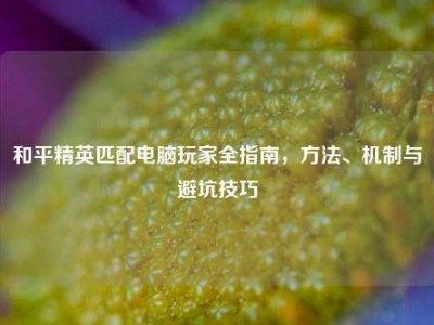 和平精英匹配电脑玩家全指南，方法、机制与避坑技巧