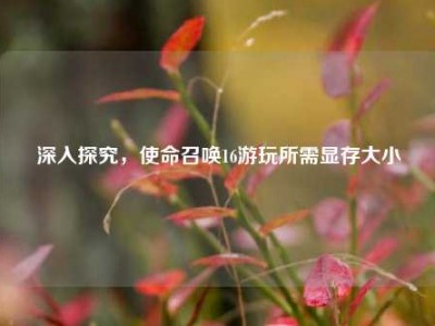 深入探究，使命召唤16游玩所需显存大小