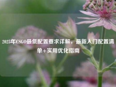 2025年CSGO最低配置要求详解，最新入门配置清单+实用优化指南