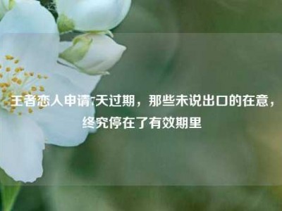 王者恋人申请7天过期，那些未说出口的在意，终究停在了有效期里