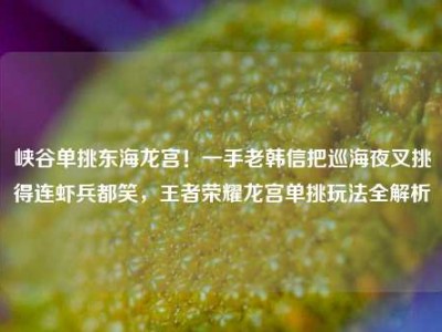 峡谷单挑东海龙宫！一手老韩信把巡海夜叉挑得连虾兵都笑，王者荣耀龙宫单挑玩法全解析