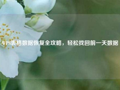 WPS表格数据恢复全攻略，轻松找回前一天数据