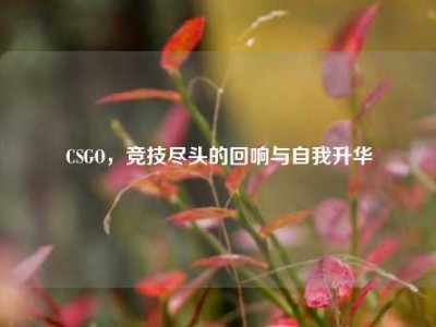 CSGO，竞技尽头的回响与自我升华
