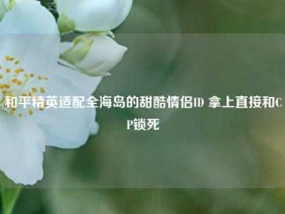 和平精英适配全海岛的甜酷情侣ID 拿上直接和CP锁死