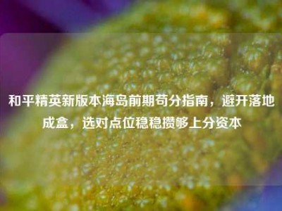 和平精英新版本海岛前期苟分指南，避开落地成盒，选对点位稳稳攒够上分资本