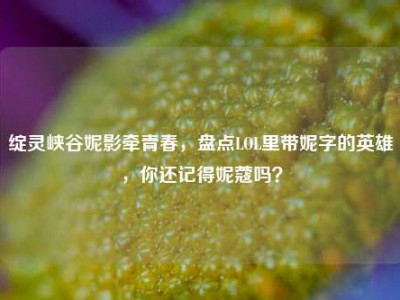 绽灵峡谷妮影牵青春，盘点LOL里带妮字的英雄，你还记得妮蔻吗？